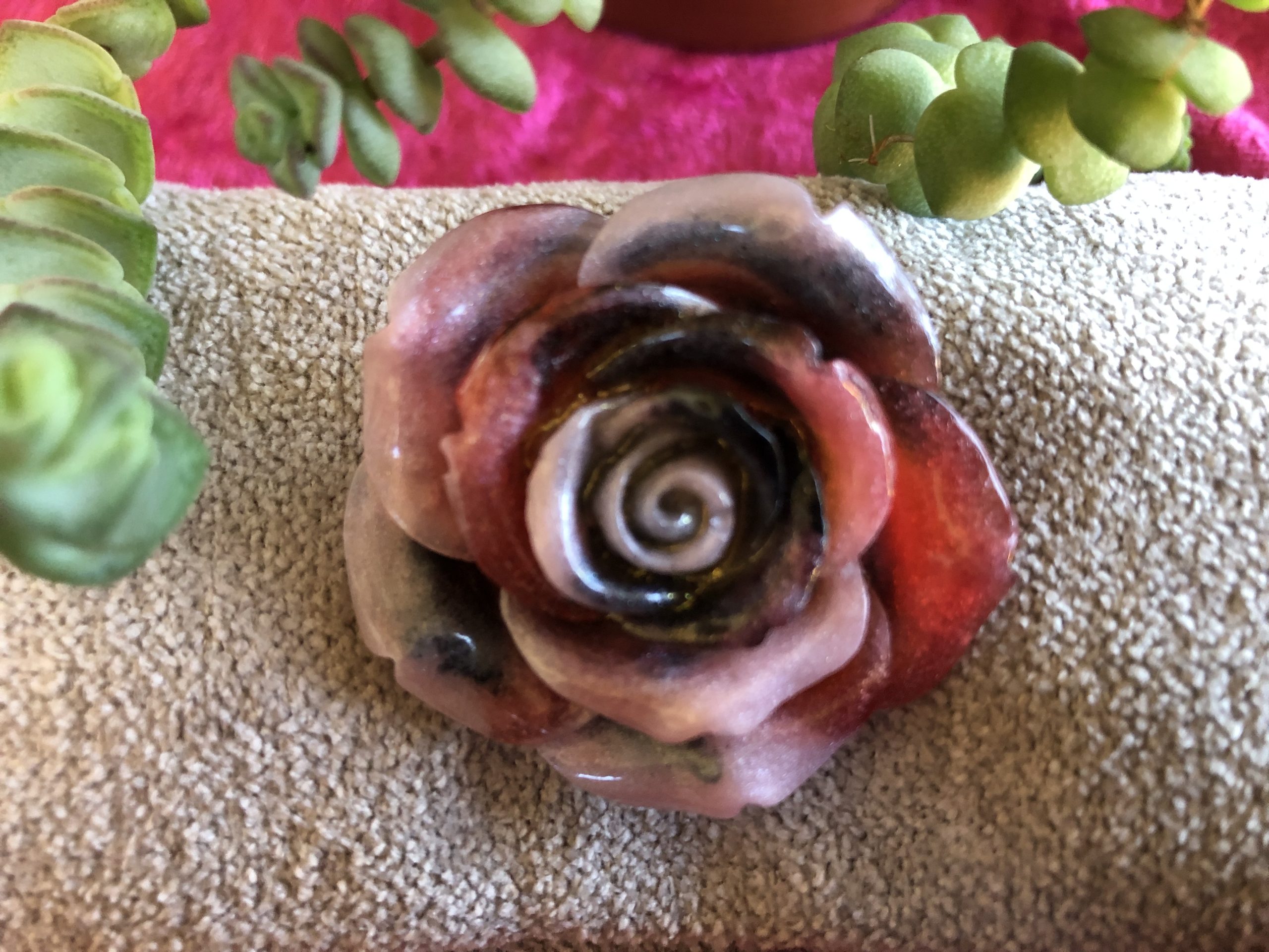 Pin's Fleur Camélia